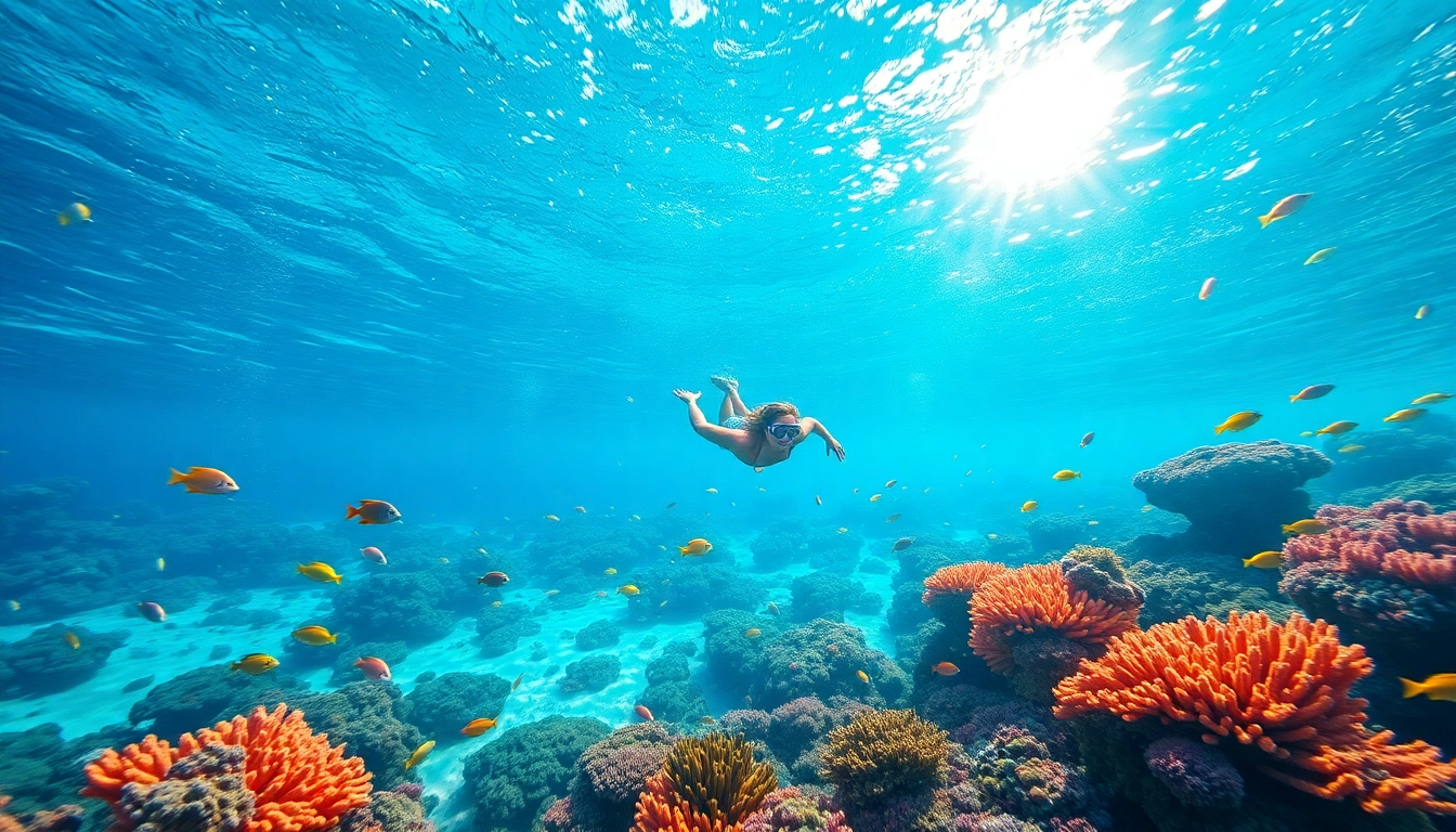Snorkeling Puerto Rico reveals a stunning marine habitat filled with colorful fish and coral reefs.